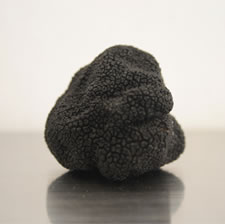 Fresh black truffles